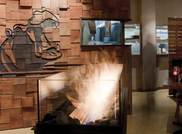 Brûleur à éthanol XS340 Ecosmart Fire